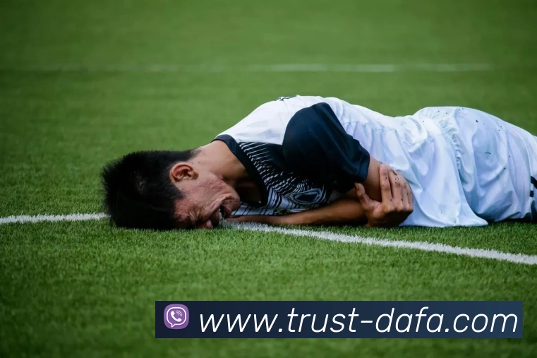 大发官网APP 高清赛事图